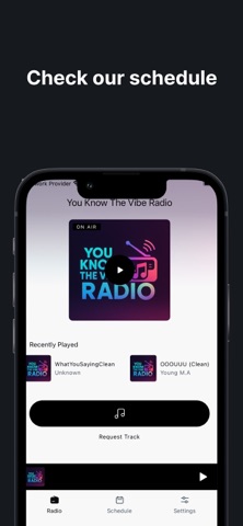 You Know The Vibe Radio screenshot