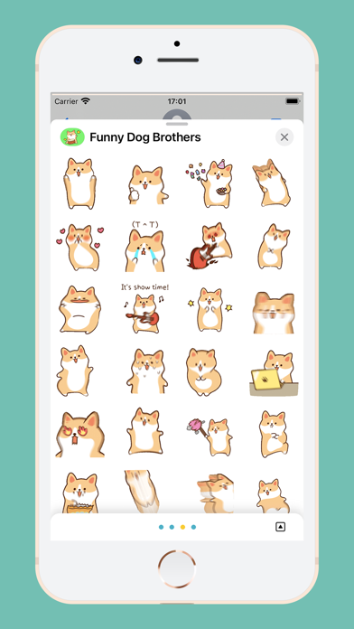 Funny Dog Brothers Screenshot