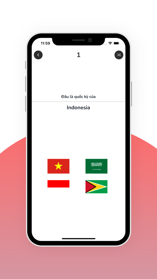 #2. Flag Quiz Challenge (iOS) 来自: Truong Van Truong