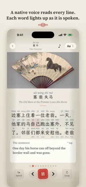 Inkstone: Learn Chinese screenshot 1