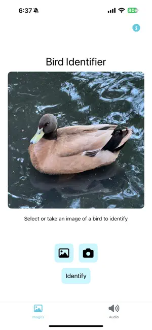 HBLL Bird Exhibit screenshot 1