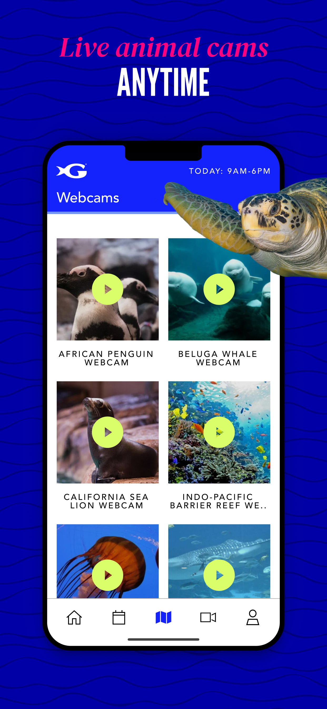 Georgia Aquarium Explorer