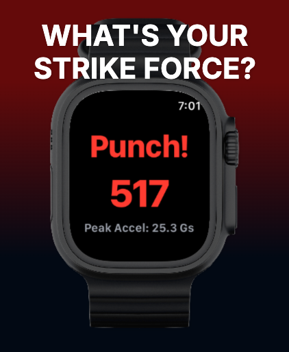 Strike Force: Boxing & MMA screenshot 22