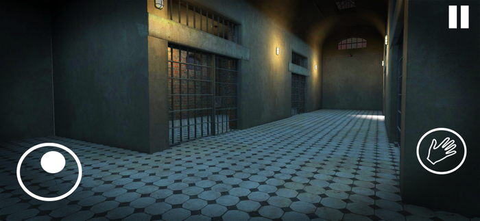 Schoolboy Prison Escape