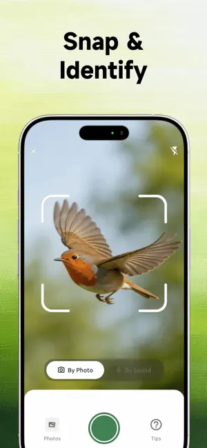 BirdSnap: Bird identifier screenshot 2