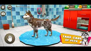 Animal Shelter Cat Village Sim screenshot 2