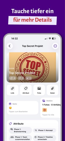 BrainMesh screenshot
