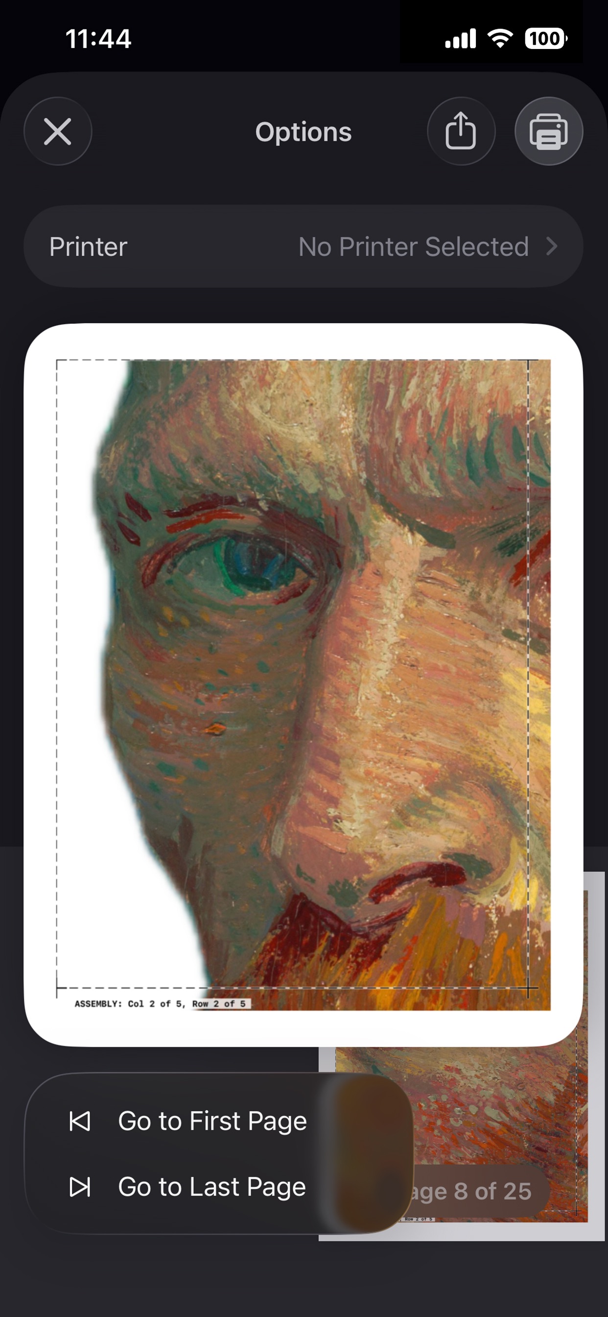 Cardboard Cutout screenshot 6