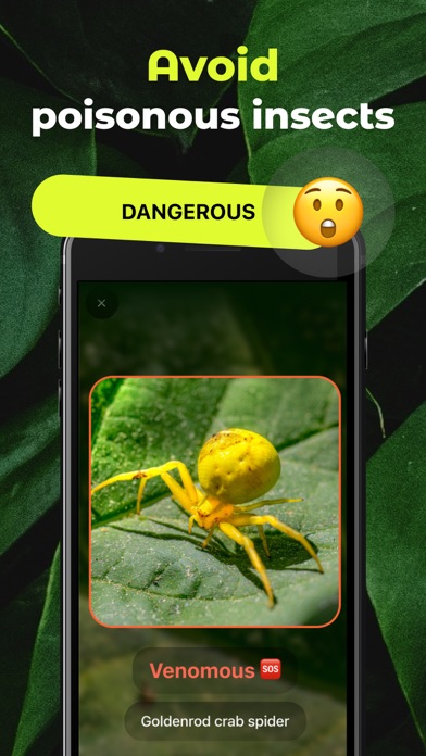 Insect Identifier Bug ID Screenshot