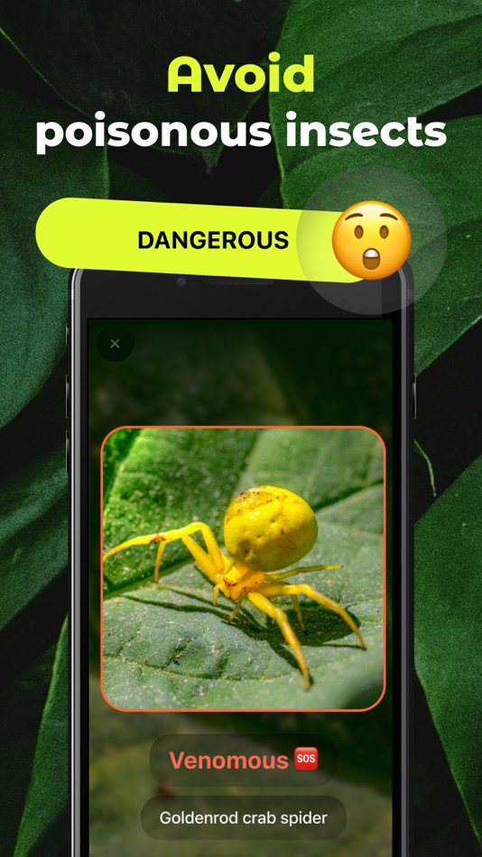#4. Insect Identifier Bug ID (iOS) 由: Bio Innovation