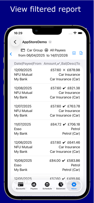 iNetWorth Screenshot 10 of 10