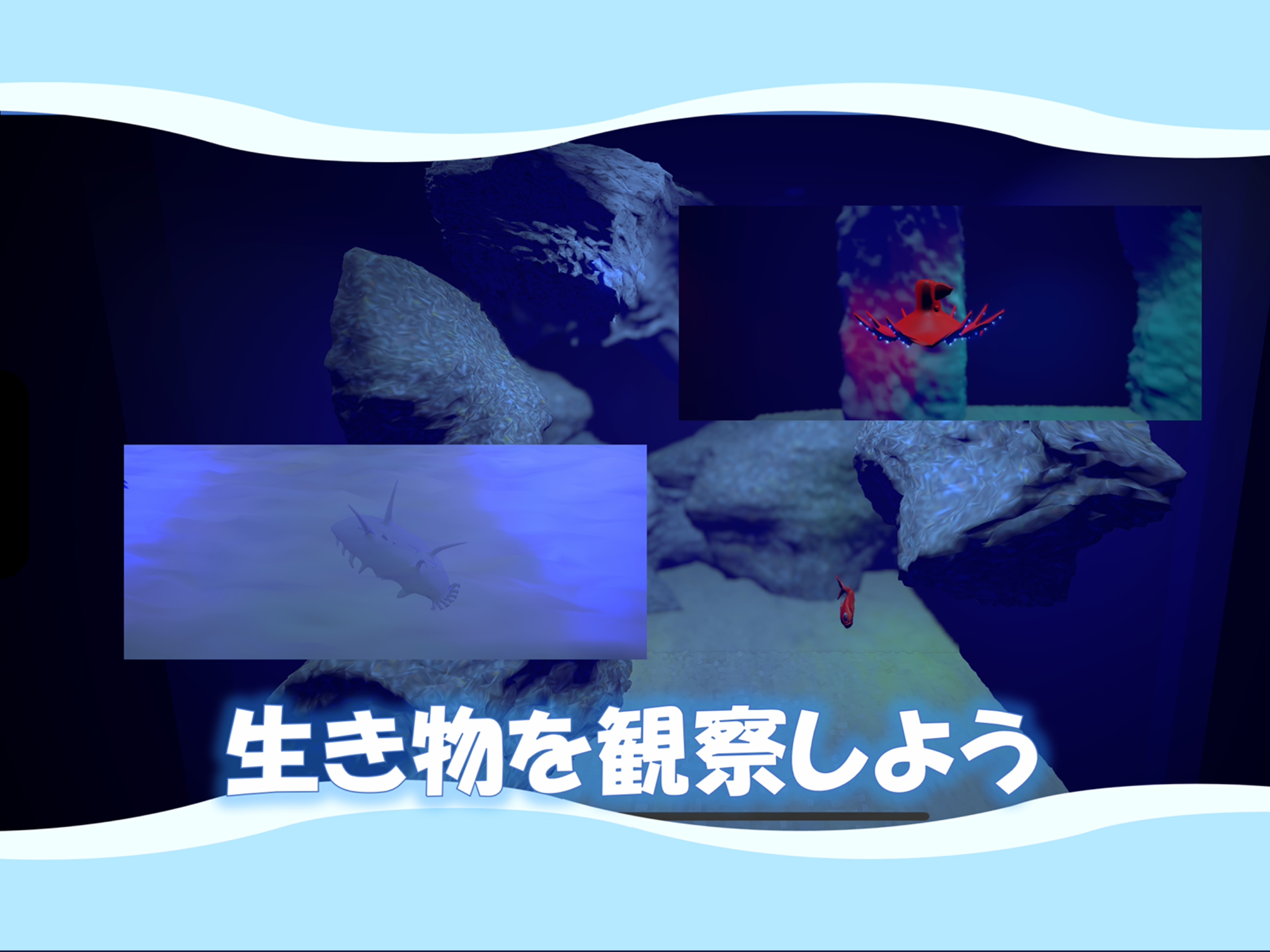 深海アルバム