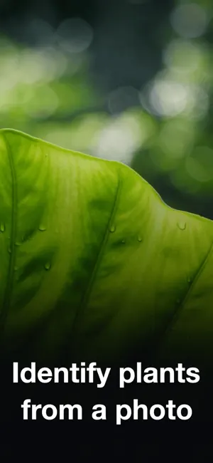 Plant Identifier・Tree ID screenshot 1