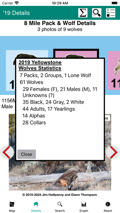 Yellowstone Wolves: The Years Screenshot