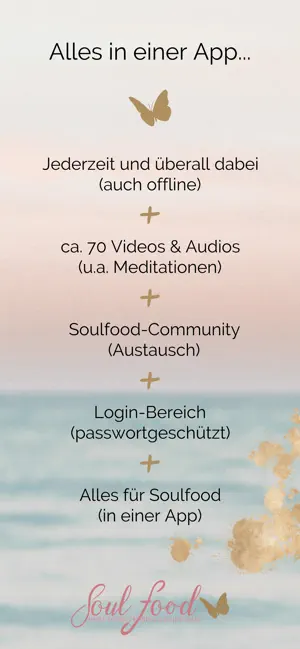 Soulfood screenshot 3
