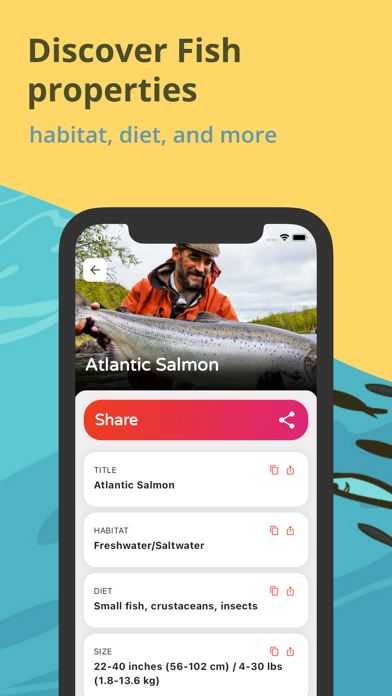 Fish Identifier: Picture Fish Screenshot