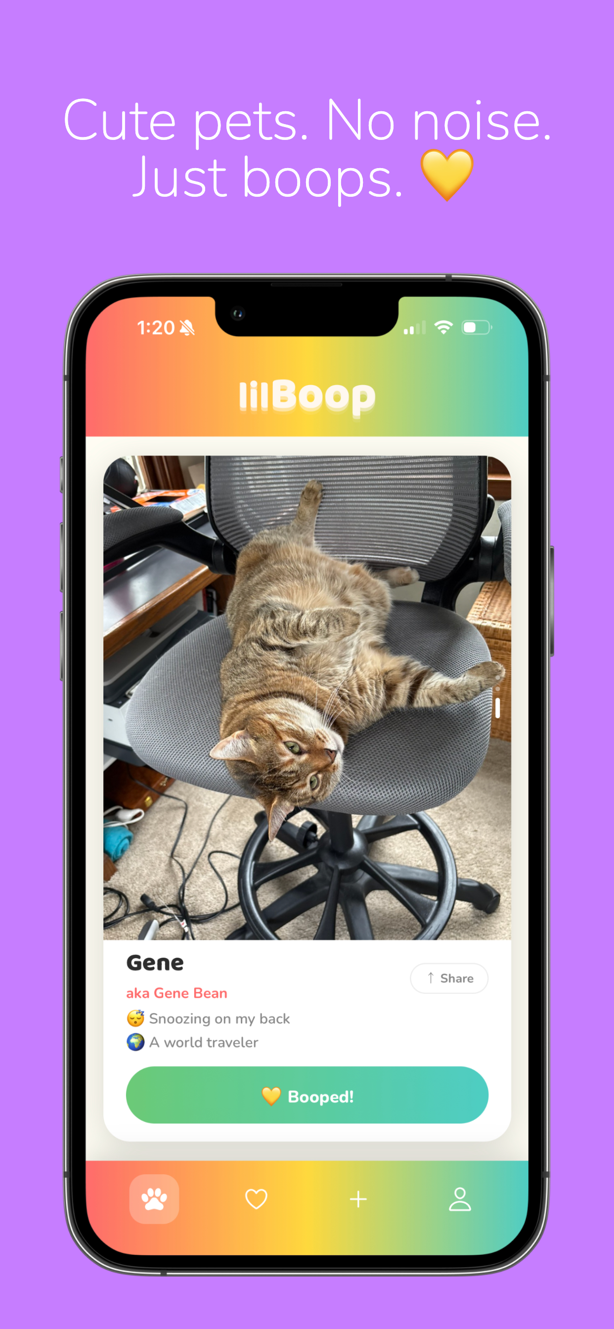 lilBoop
