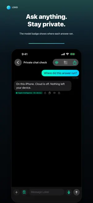 Lokei AI screenshot 2