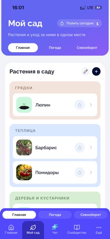 Тимофеевна - сад и огород iPhone screenshot 4