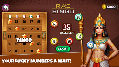 Jackpot Piraten Slots Screenshot