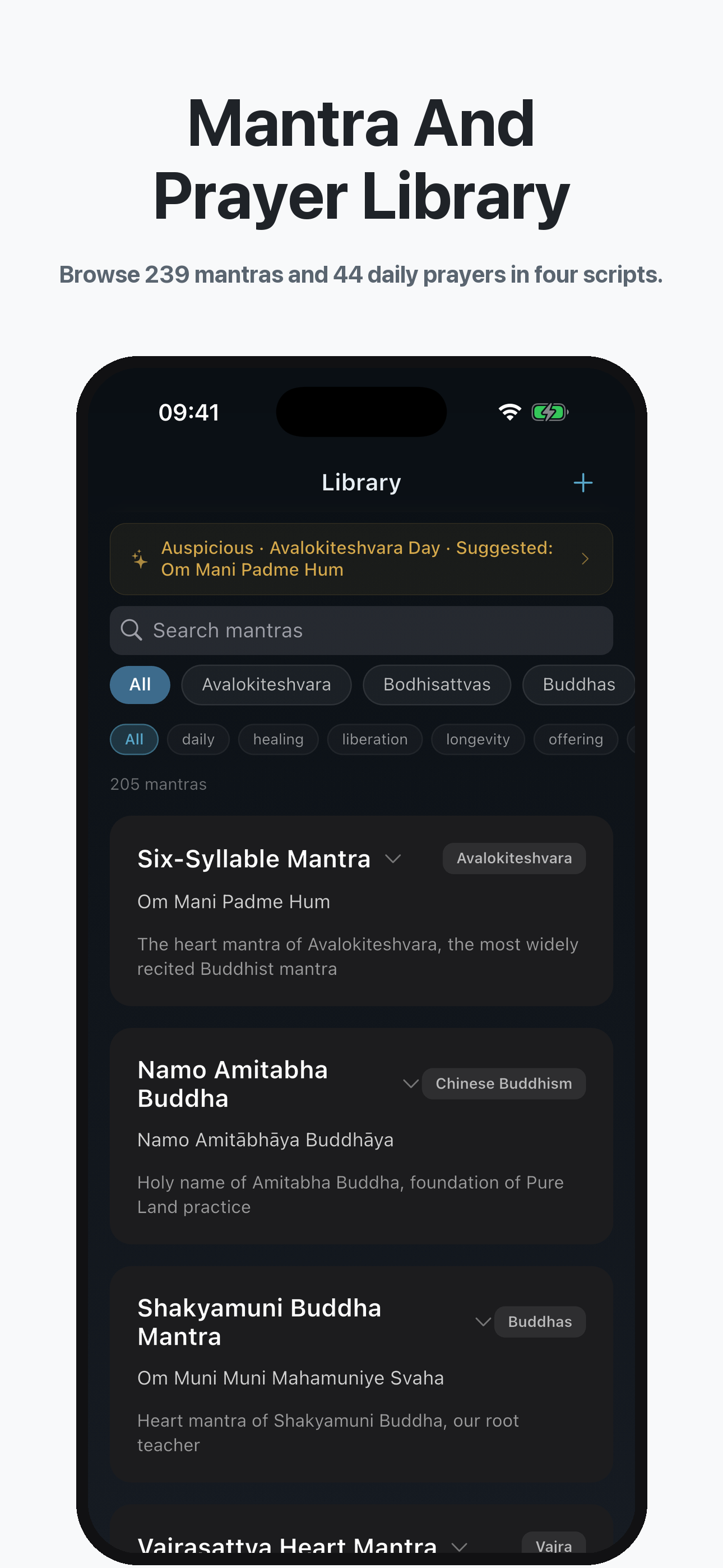 Tibetan Mantra Counter screenshot 5