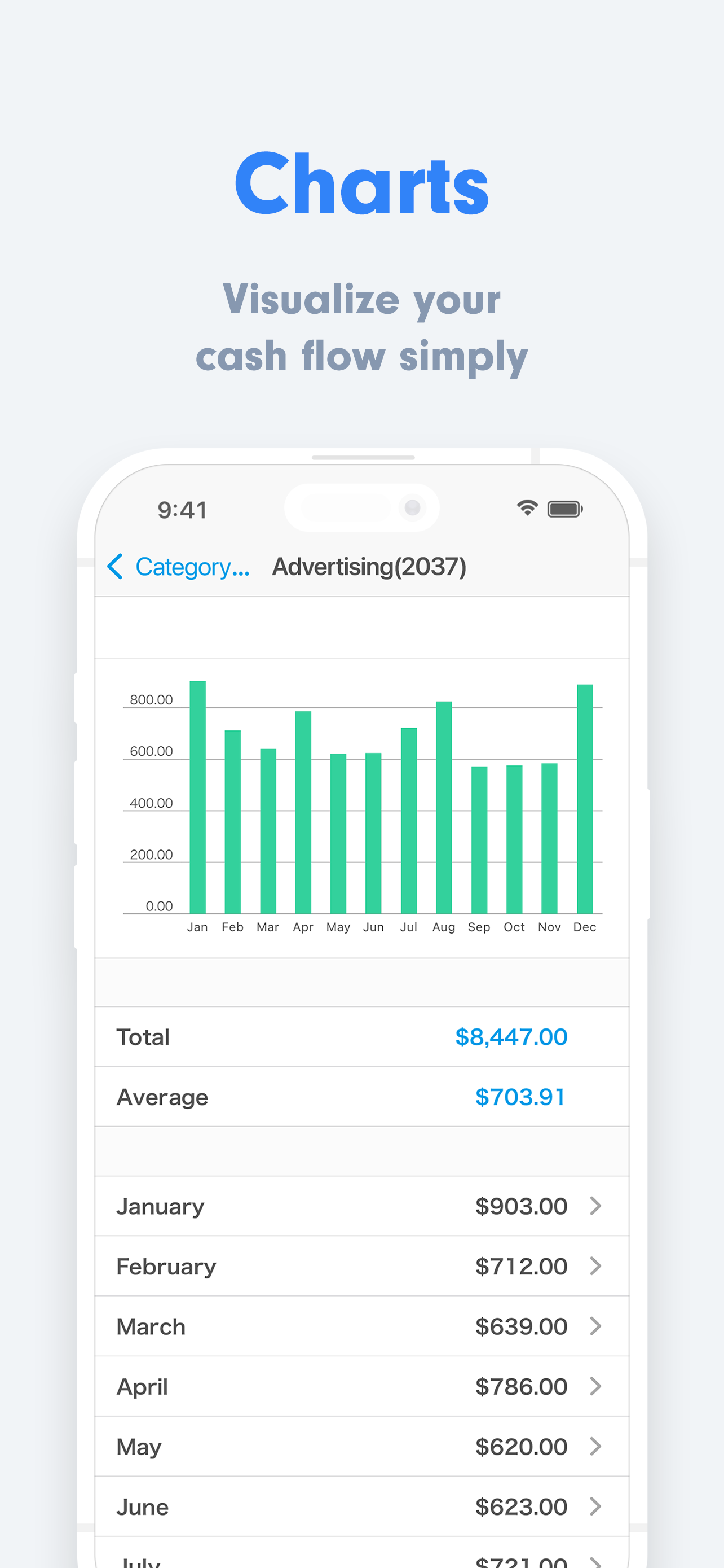 Small Biz Budget - Accounting