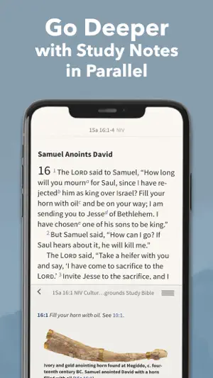 NIV Bible App + screenshot 2