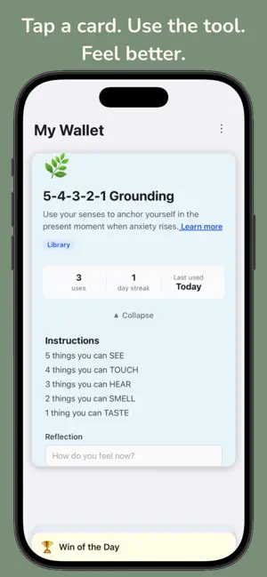 Mental Health Wallet screenshot 2
