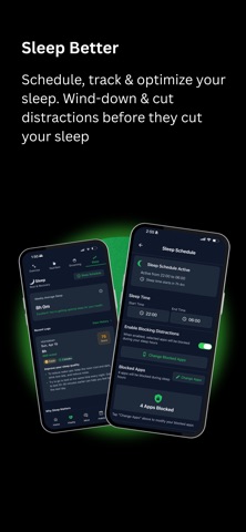 LifeMaxing screenshot
