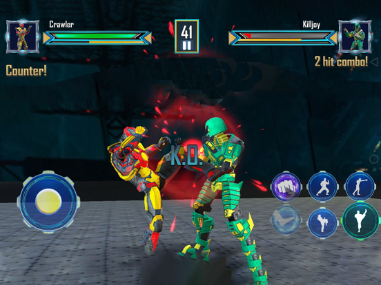 Robot Fighting Kung Fu Karate