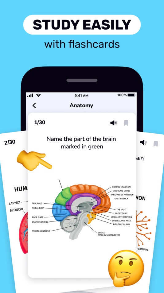 #1. Flashcards Maker: Study Clever (iOS) 由: Appsprings, TOO