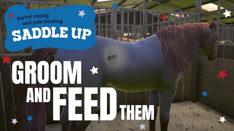 Saddle Up Barrel Racing Horses