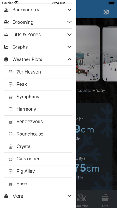 Whistler Peak Live Screenshot