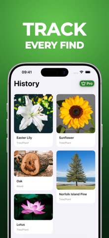 Tree Identifier - WoodBot Screenshot 3 of 3