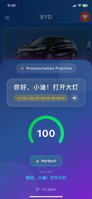 Speak China EV: Smart Pilot screenshot 3