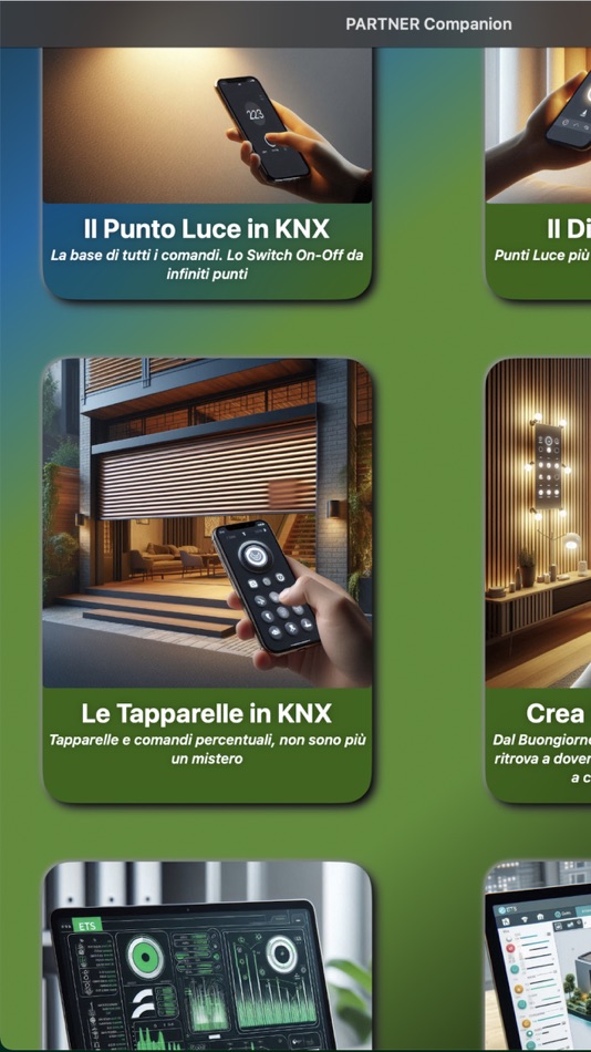 #3. PARTNER Companion (macOS) 来自: Davide Grandeppieno