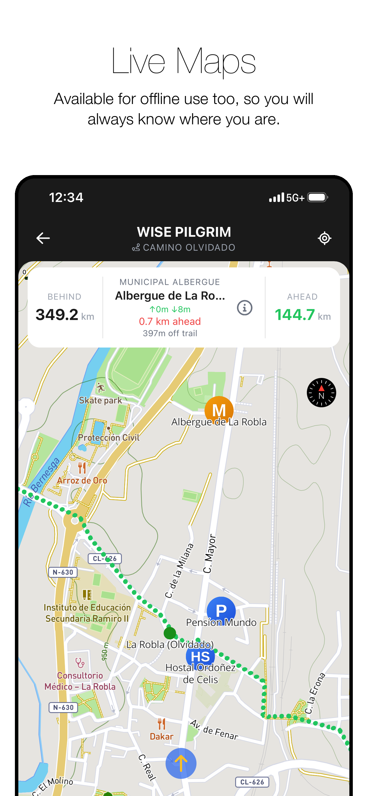 Wise Pilgrim Camino Olvidado