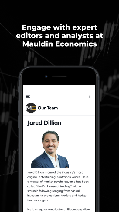 Mauldin Economics Screenshot