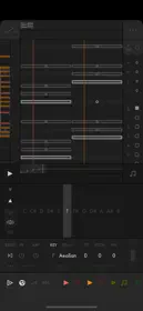 Fugue Machine Rubato 3