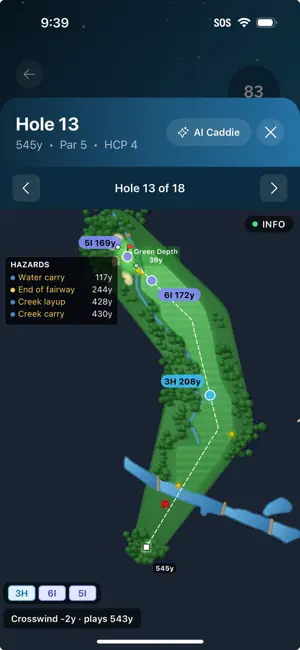 Golf Geek screenshot 2