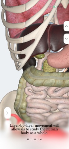 Humio: 3D Human Anatomy iPhone screenshot
