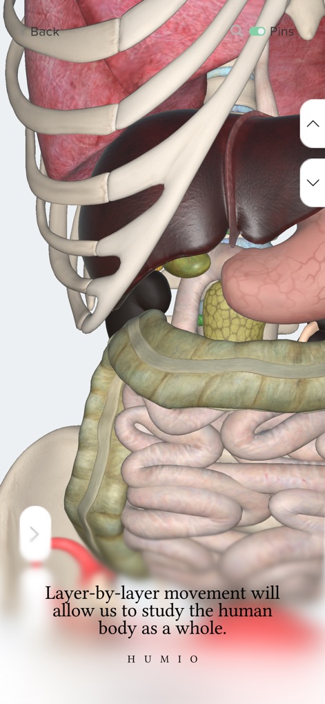 Humio: 3D Human Anatomy - Education App | MWM