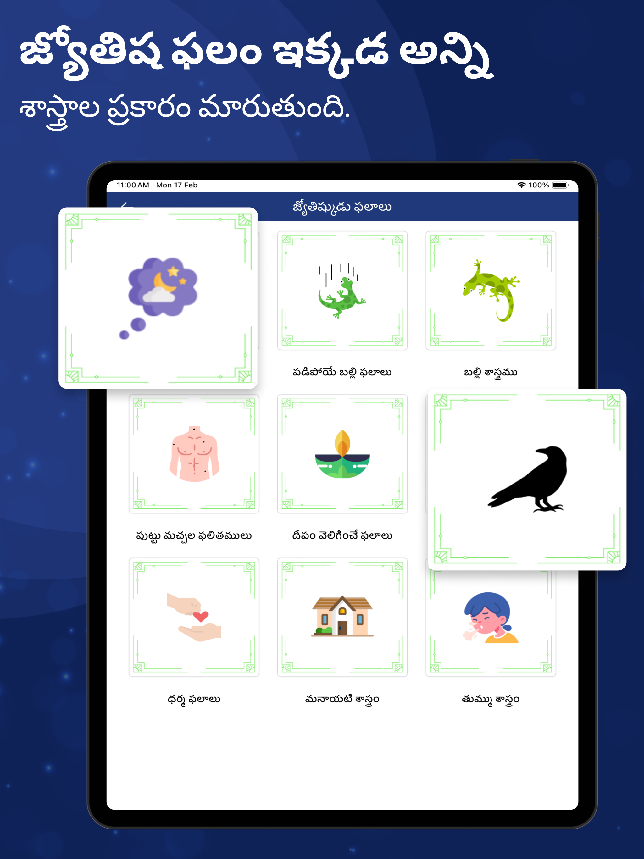 Skyra Telugu Calendar screenshot 8