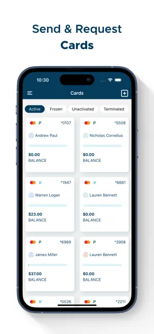 LINKBANK IMPACT Card screenshot 2