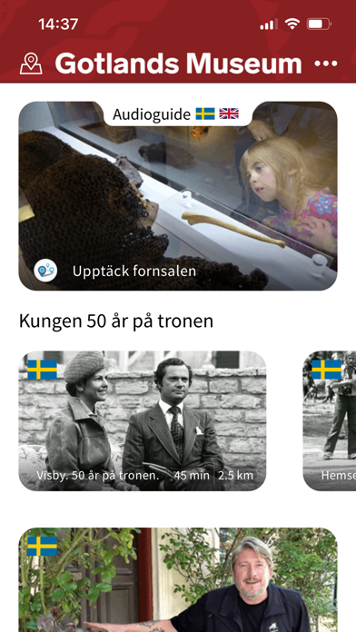 Gotlands Museum Screenshot