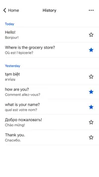 Google Translate screenshot 1
