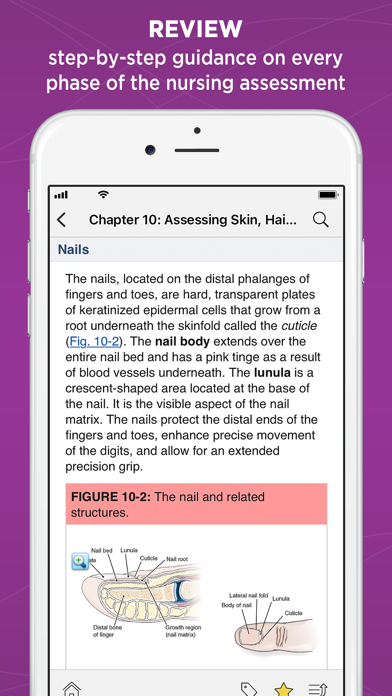Weber: Nurse Health Assessment Screenshot