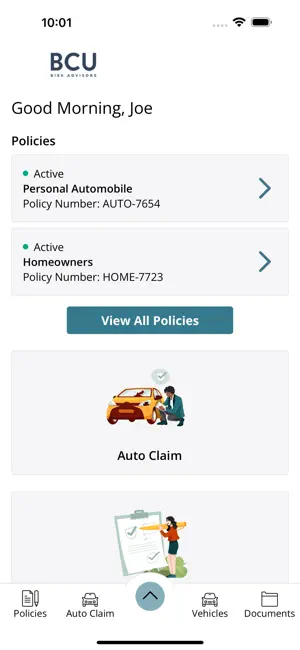 BCU Risk Advisors LLC Online screenshot 2