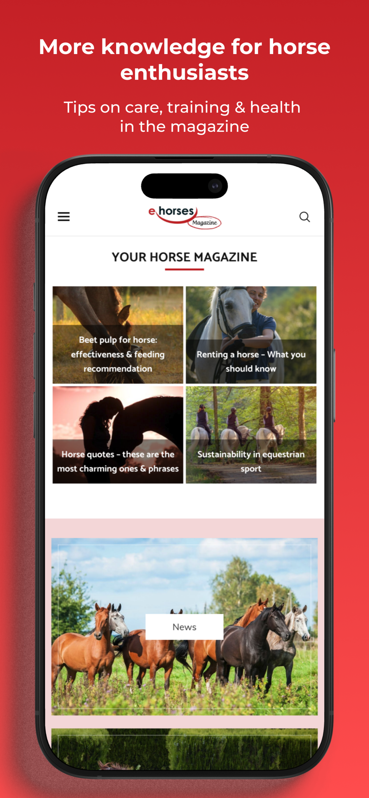 ehorses