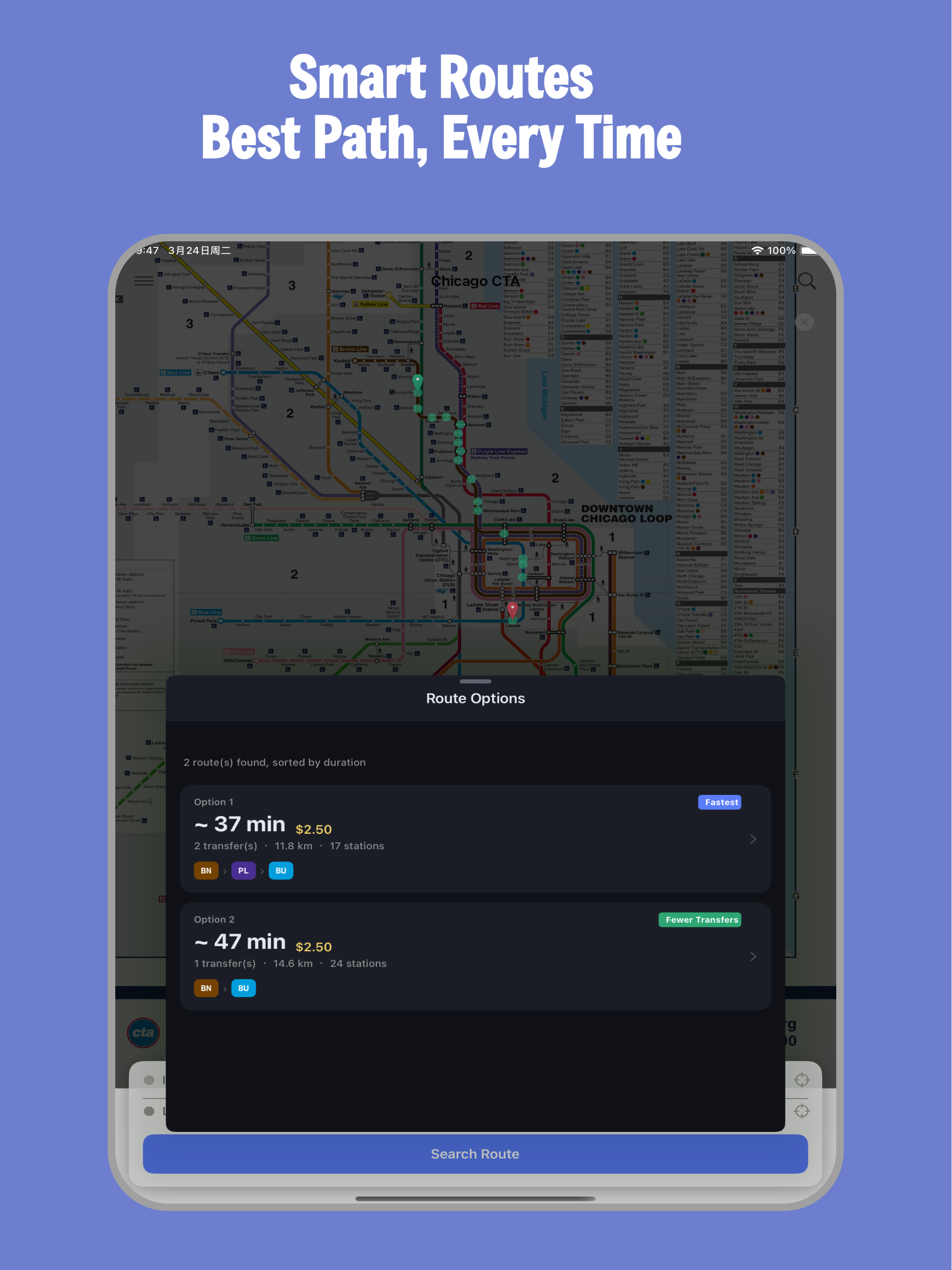 Chicago Subway CTA L Train screenshot 9